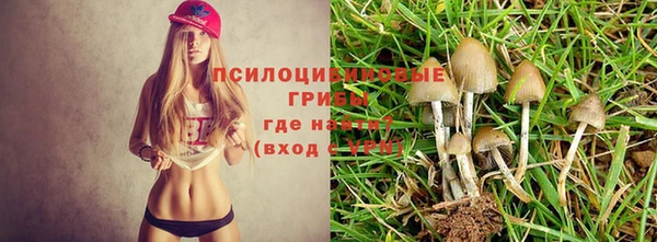 MDMA Premium VHQ Арсеньев