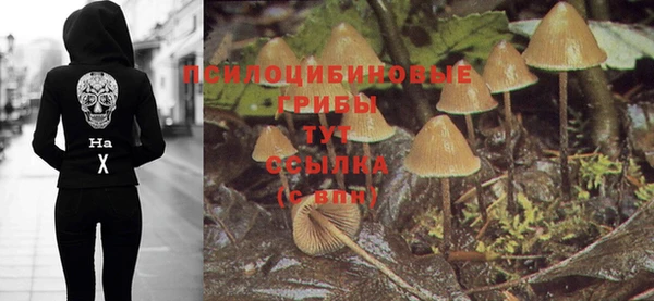 ECSTASY Алексеевка