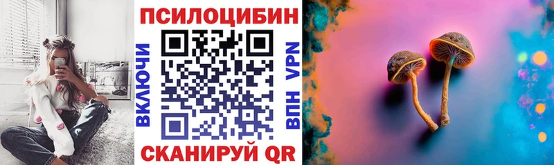 купить наркоту  Бавлы  Псилоцибиновые грибы прущие грибы 
